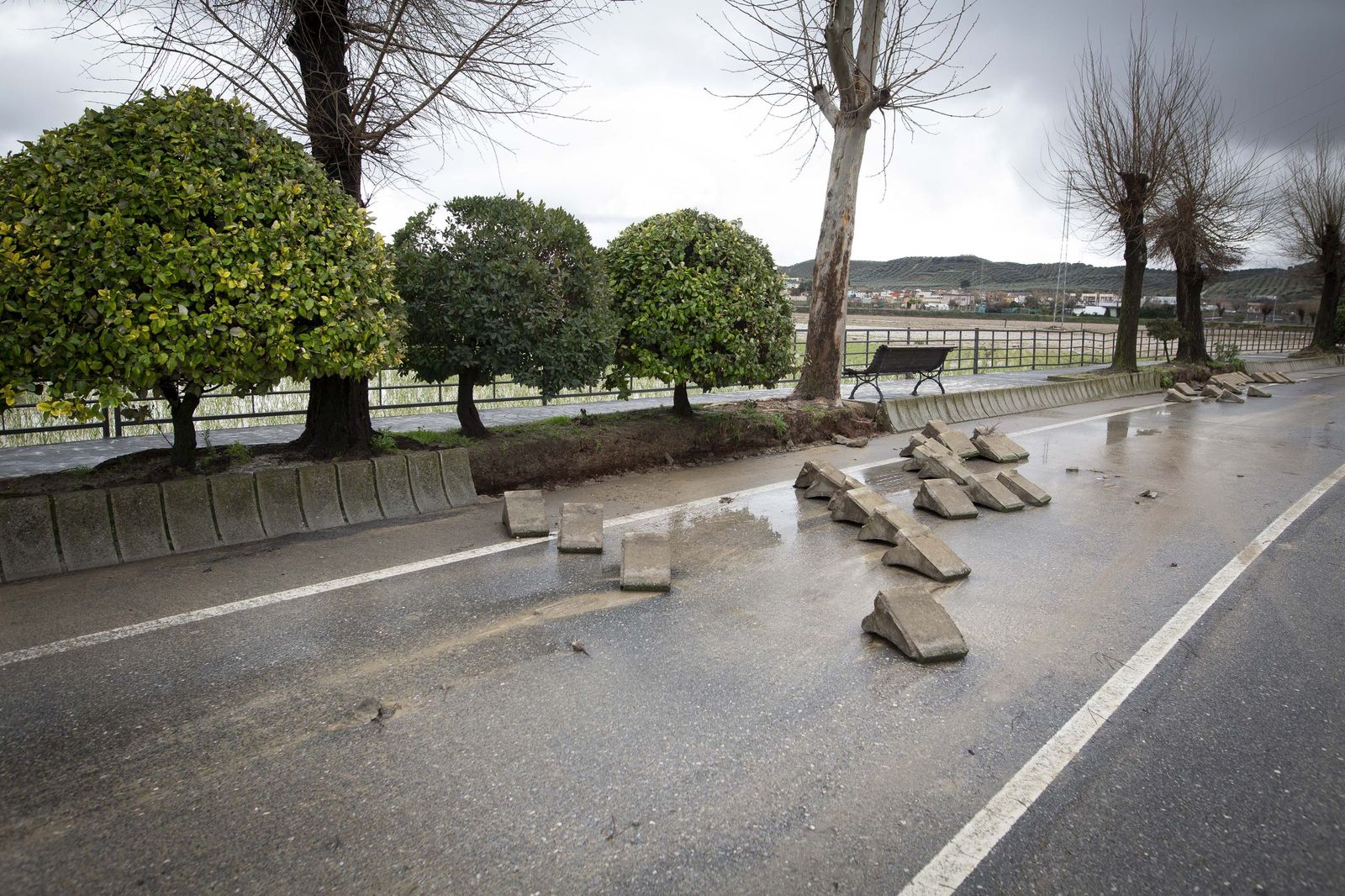 Fotos: Pedro Sánchez visita Huétor Tájar para comprobar los daños de la borrasca Leonardo