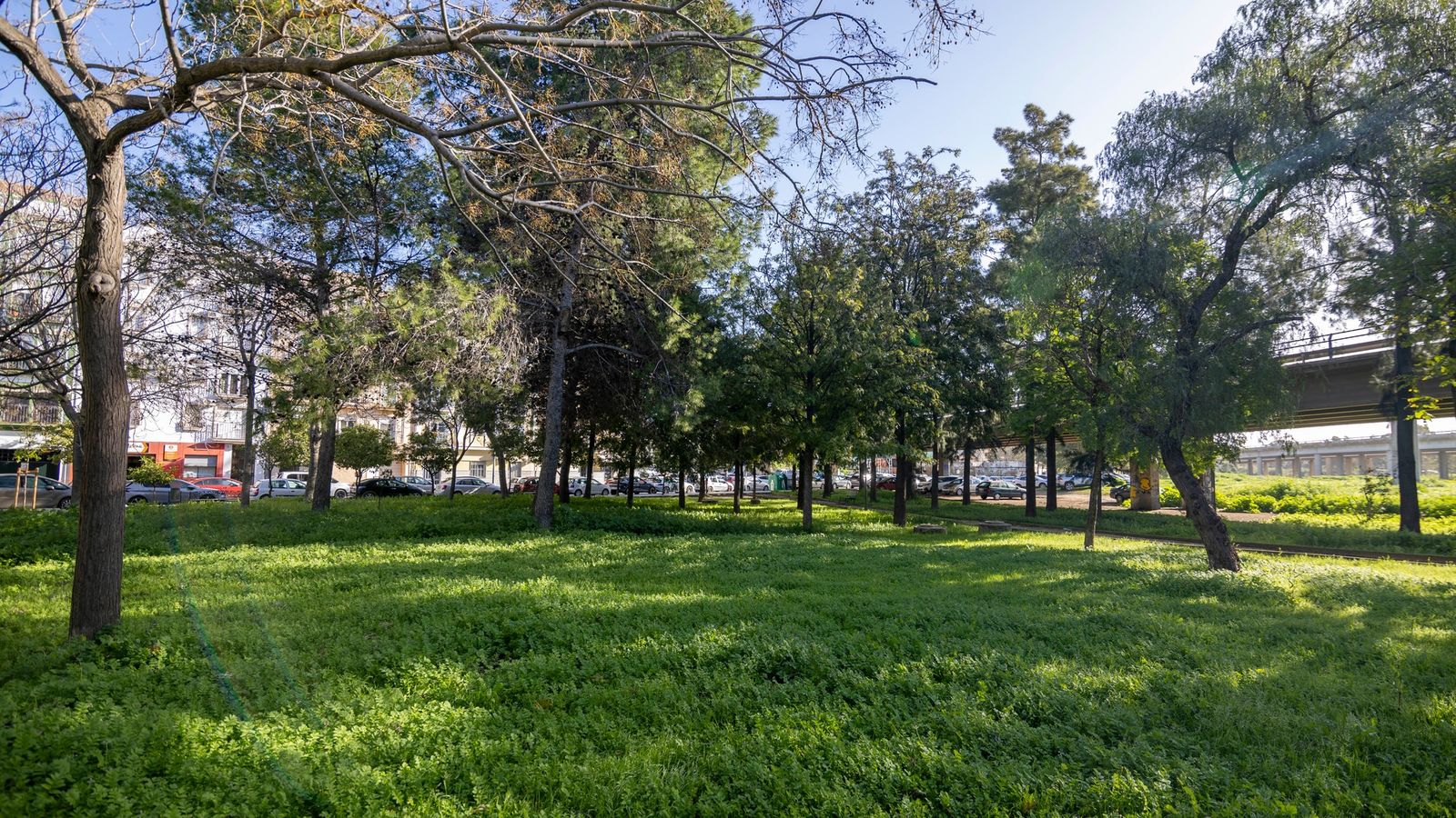 Zona de parque de El Matadero.