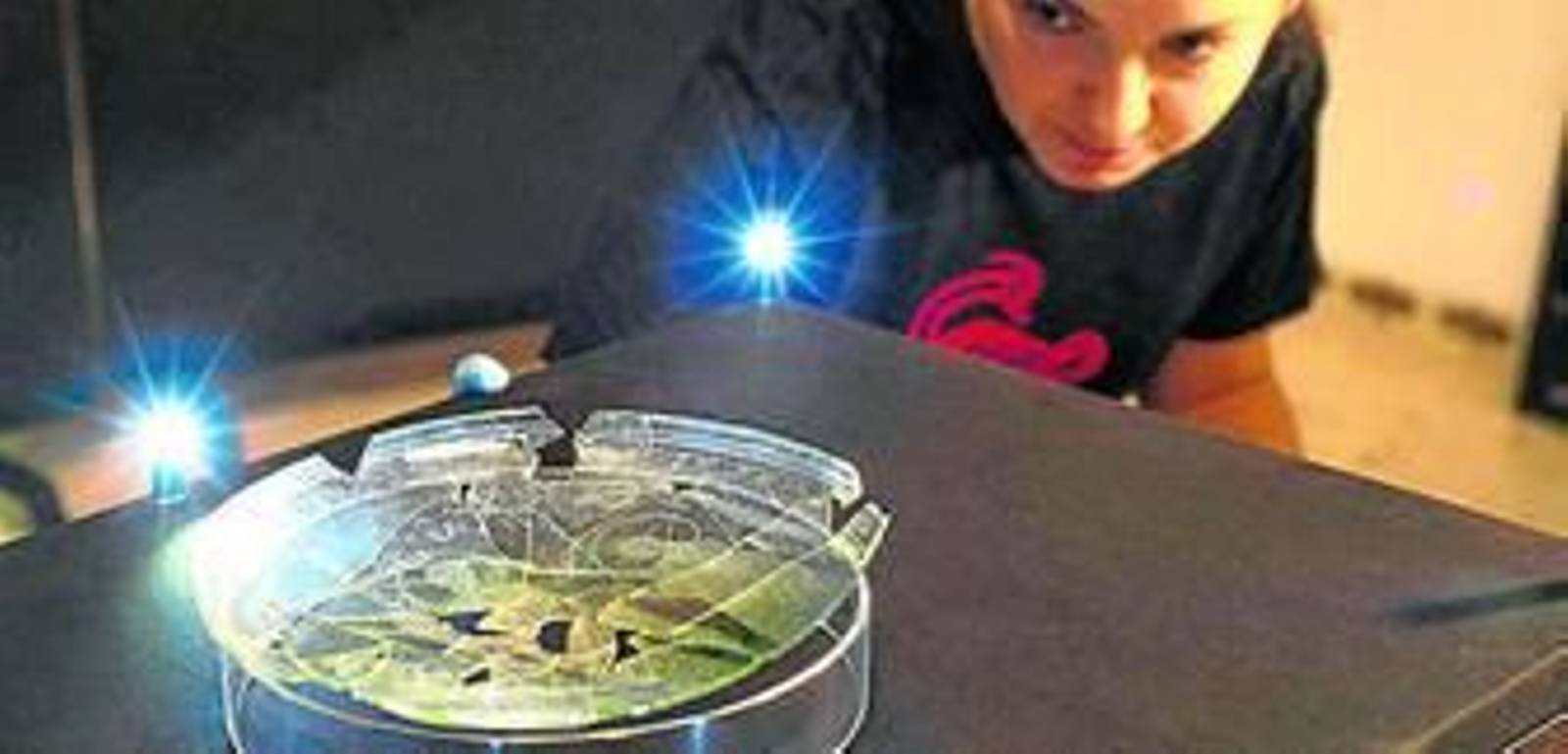 Una restauradora observa la pieza.