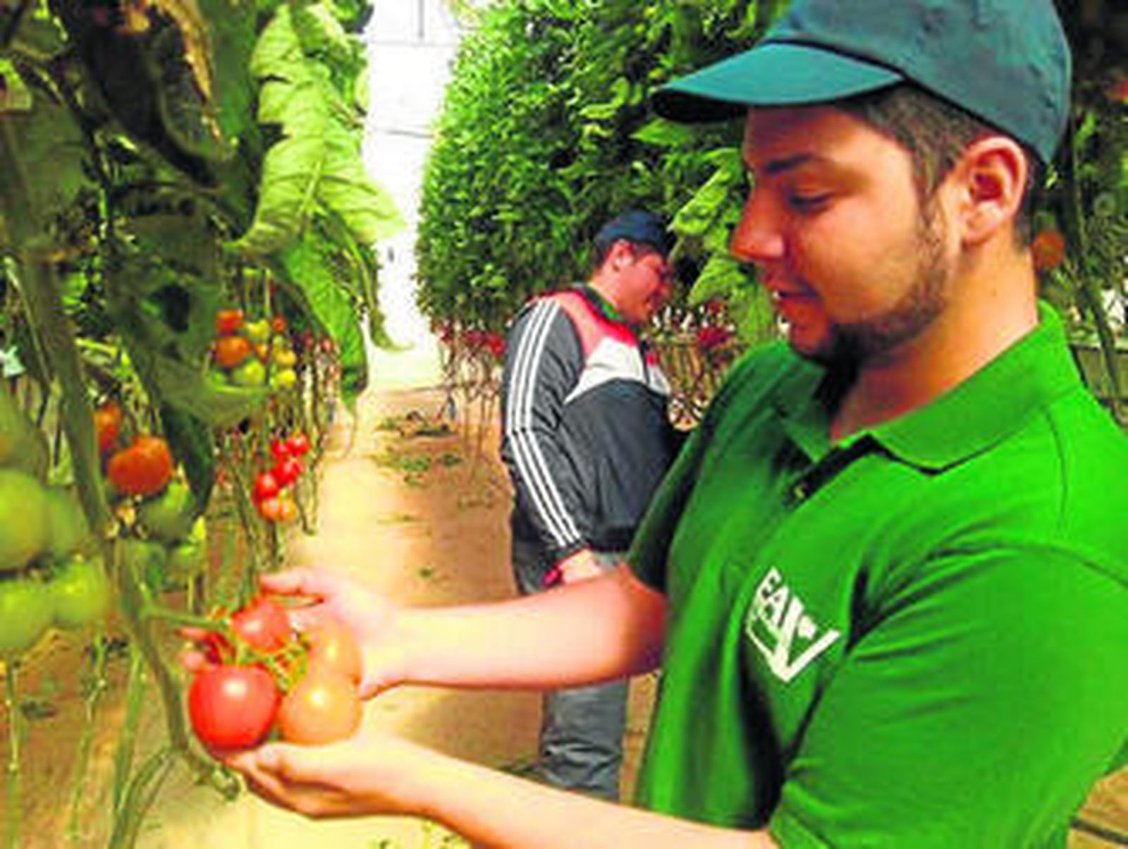 Modelos para un profesional agrario
