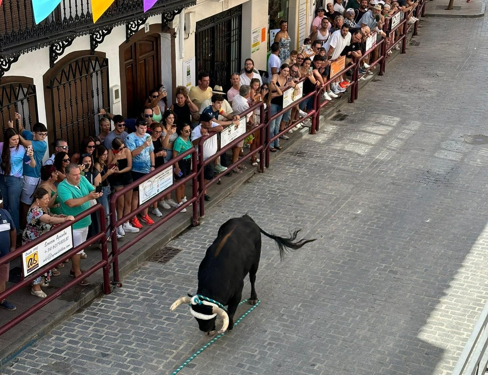 Las fotos del toro de cuerda de Carcabuey