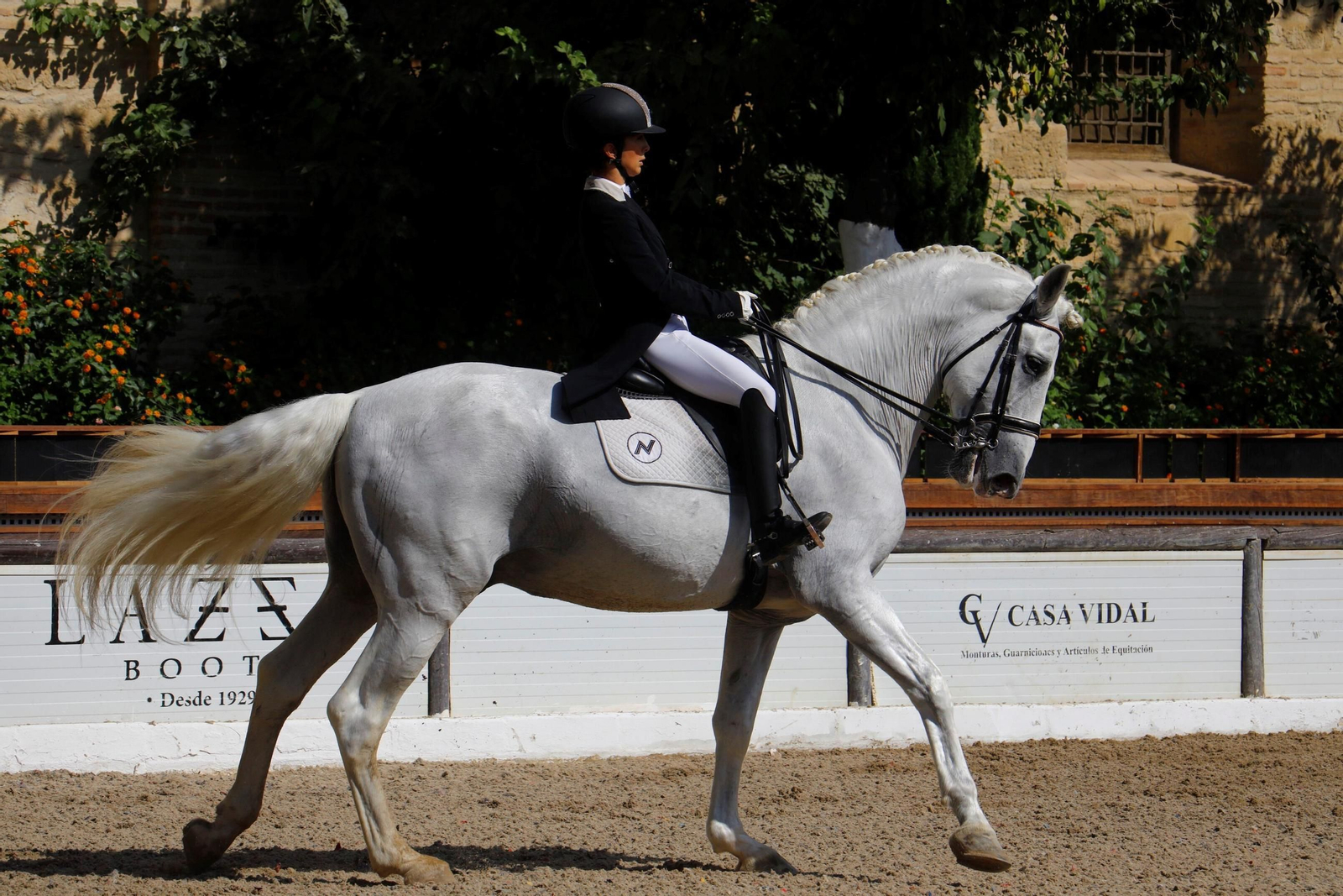 El concurso nacional de Doma Clásica en las Caballerizas Reales de Córdoba