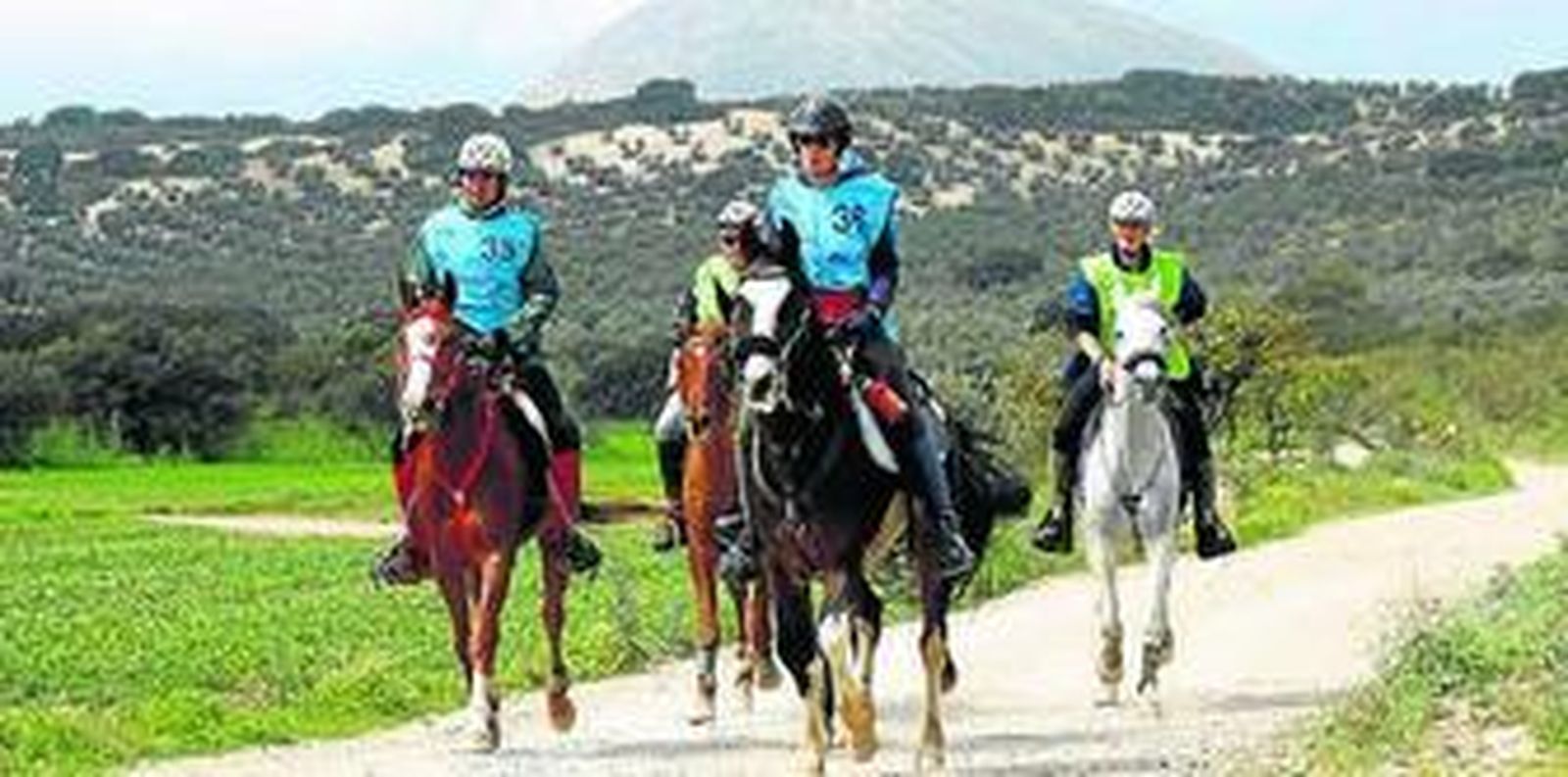 Imagen de la edición anterior.