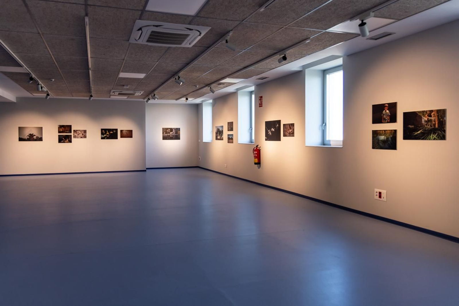 Egipto en Jaén: los bosques sagrados del país del Nilo cobran vida en imágenes