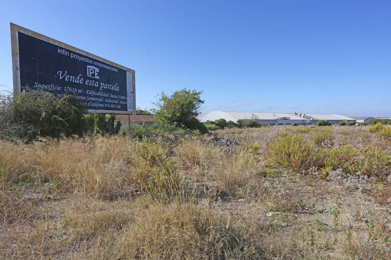 Derribo de las antiguas bodegas Bobadilla: El polígono Guadalquivir se revaloriza