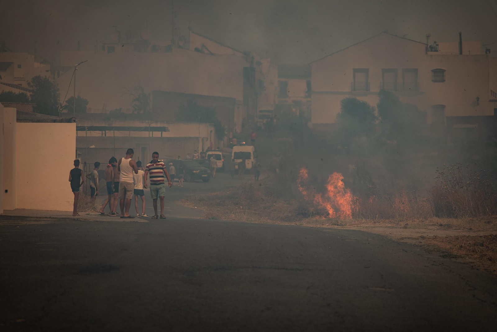 El incendio de Lucena del Puerto en imágenes