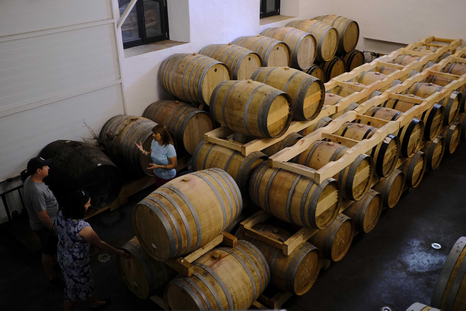 El regreso del turismo extranjero a las bodegas rondeñas, en fotos