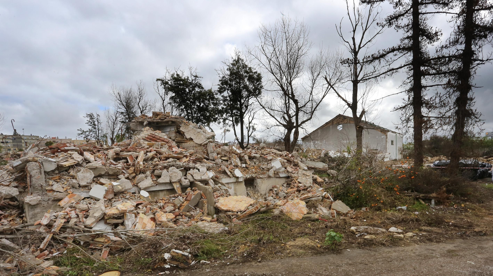 Derribo de las antiguas bodegas Bobadilla: El polígono Guadalquivir se revaloriza