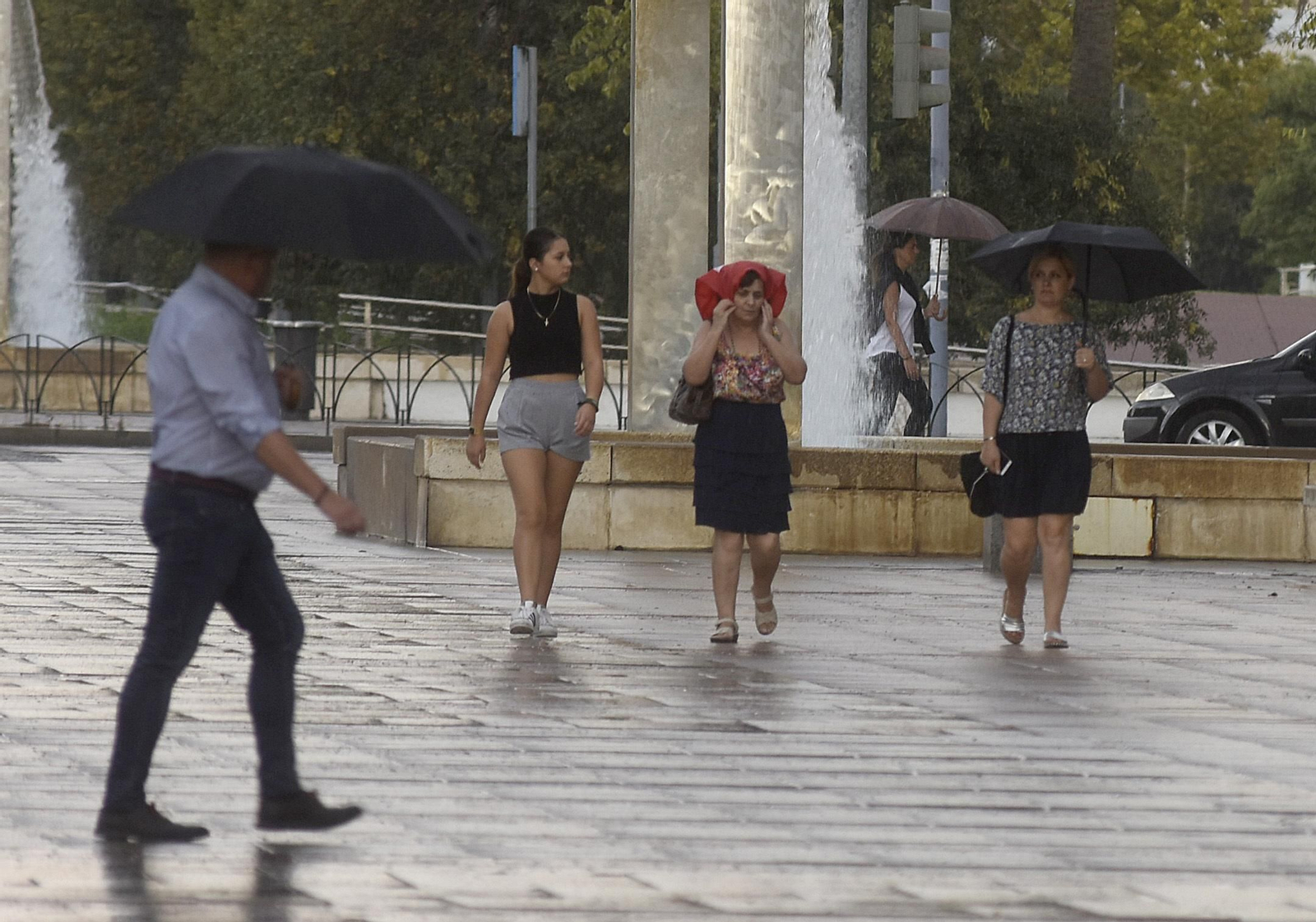 Las mejores imágenes de la lluvia en Córdoba