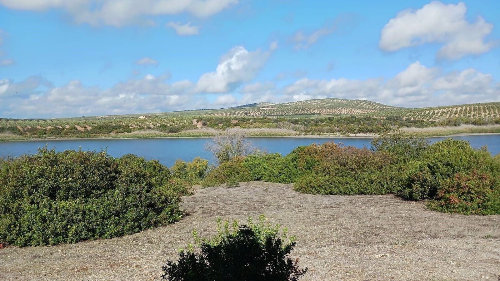 La laguna de Zóñar en Aguilar de la Frontera.