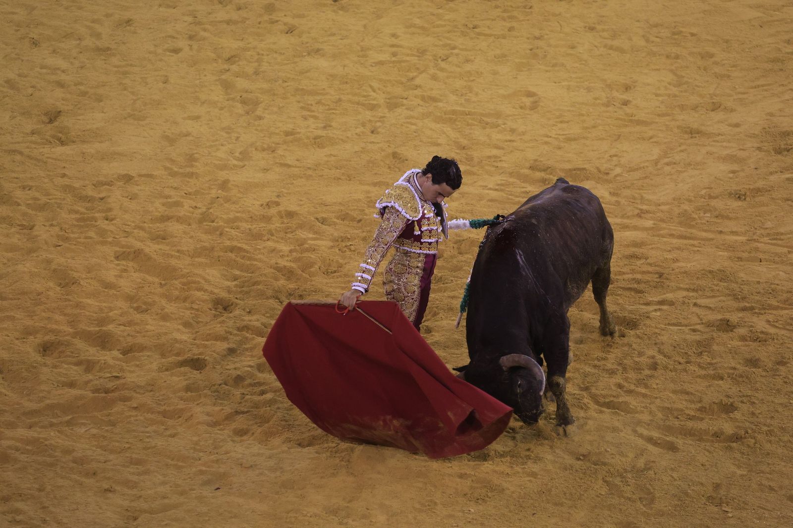 Fotos de la corrida de toros de la Feria de San Roque con David Galván, Román y Joaquín Galdós