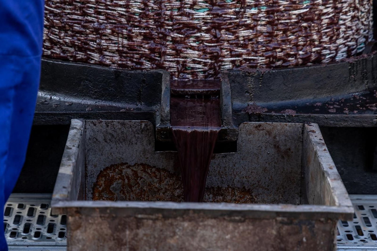 XLV Fiesta de la Aceituna en Martos