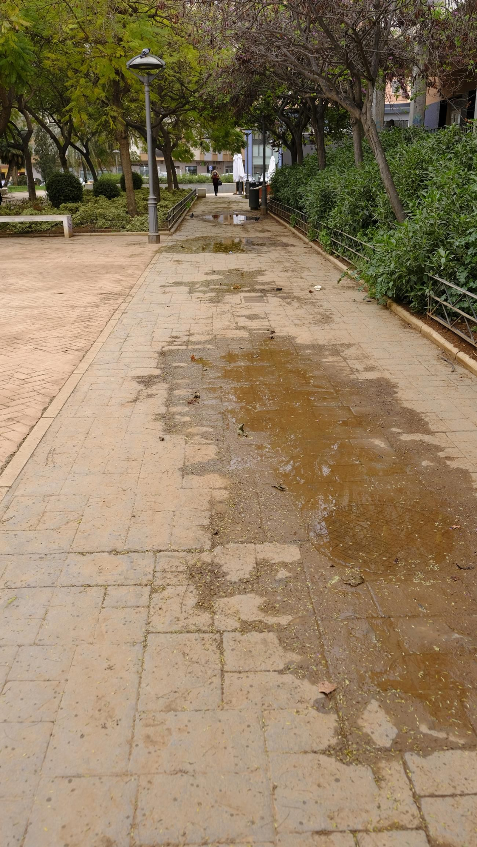 Fotogalería lluvia de barro en Almería