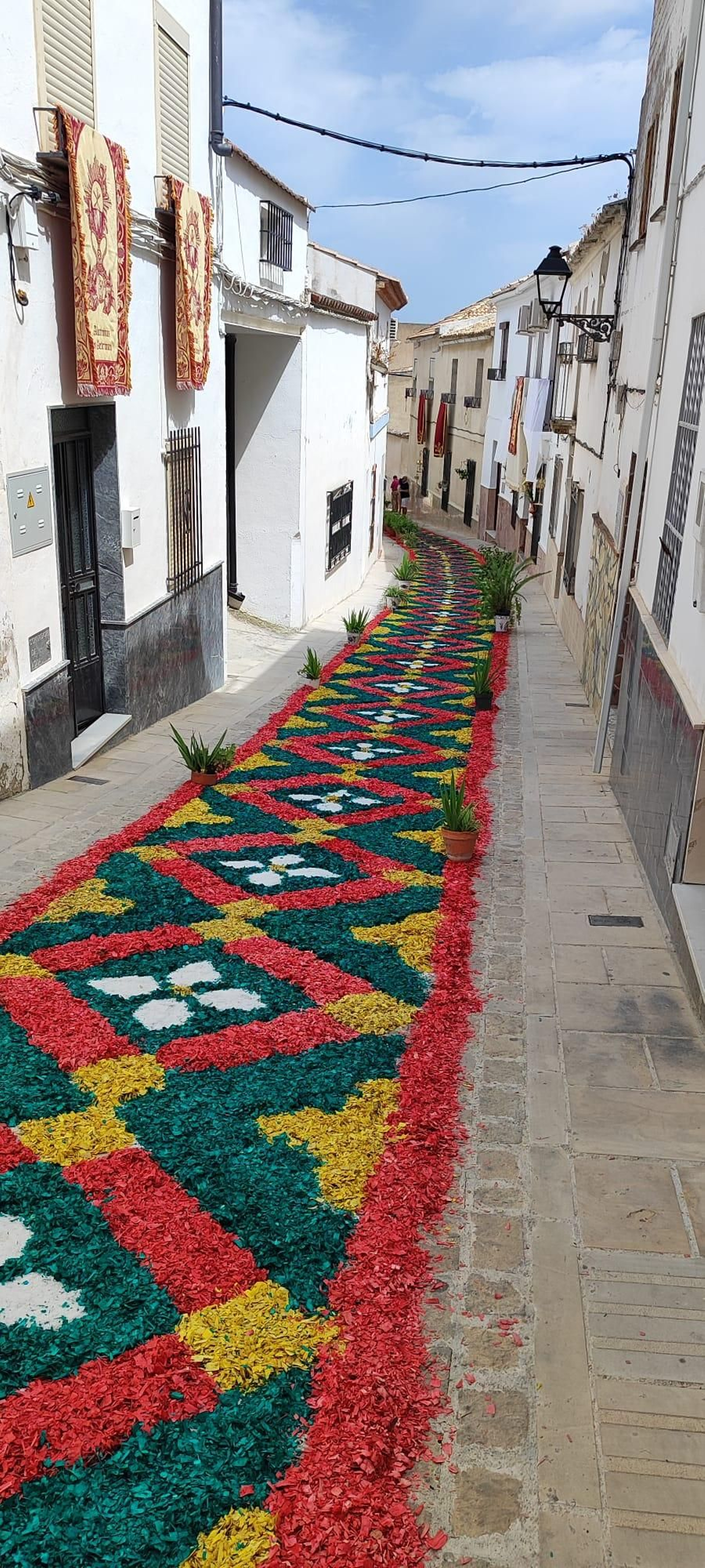 Alfombras del Corpus en Valenzuela Alfombras del Corpus en Valenzuela