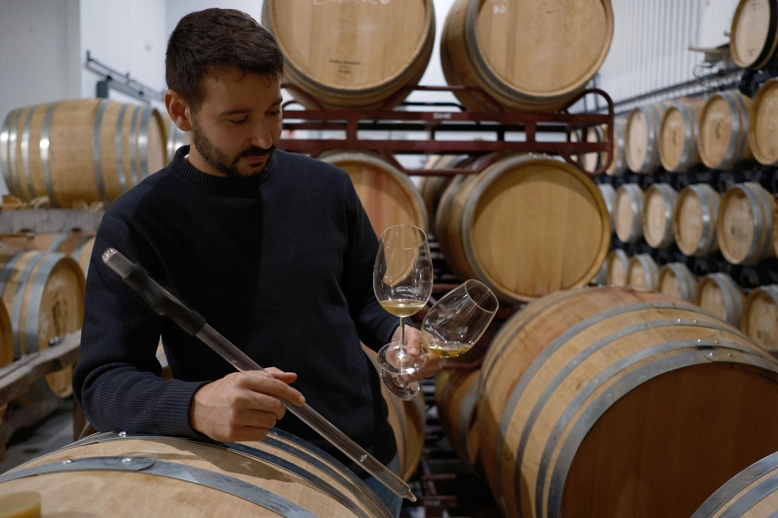 Agustín Millán, enólogo de la bodega Huerto de la Condesa.