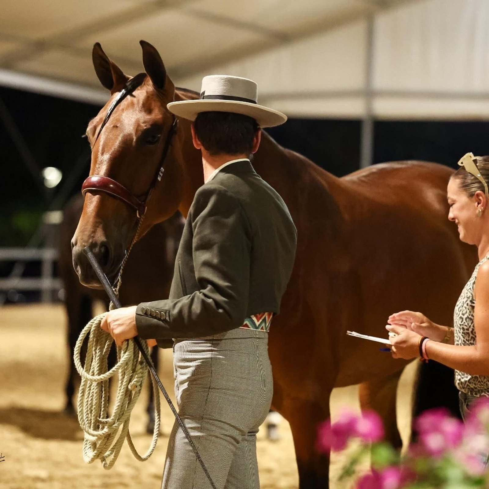 Así es el bello concurso de caballos de Andújar, en imágenes