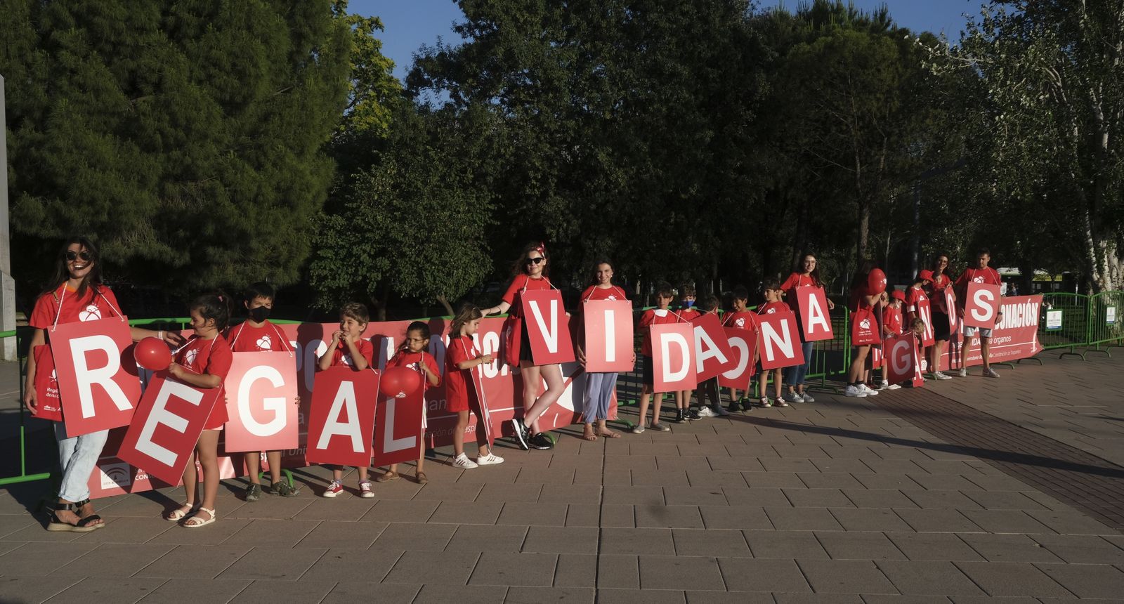 La Marcha por la Donación de Órganos de Córdoba, en imágenes
