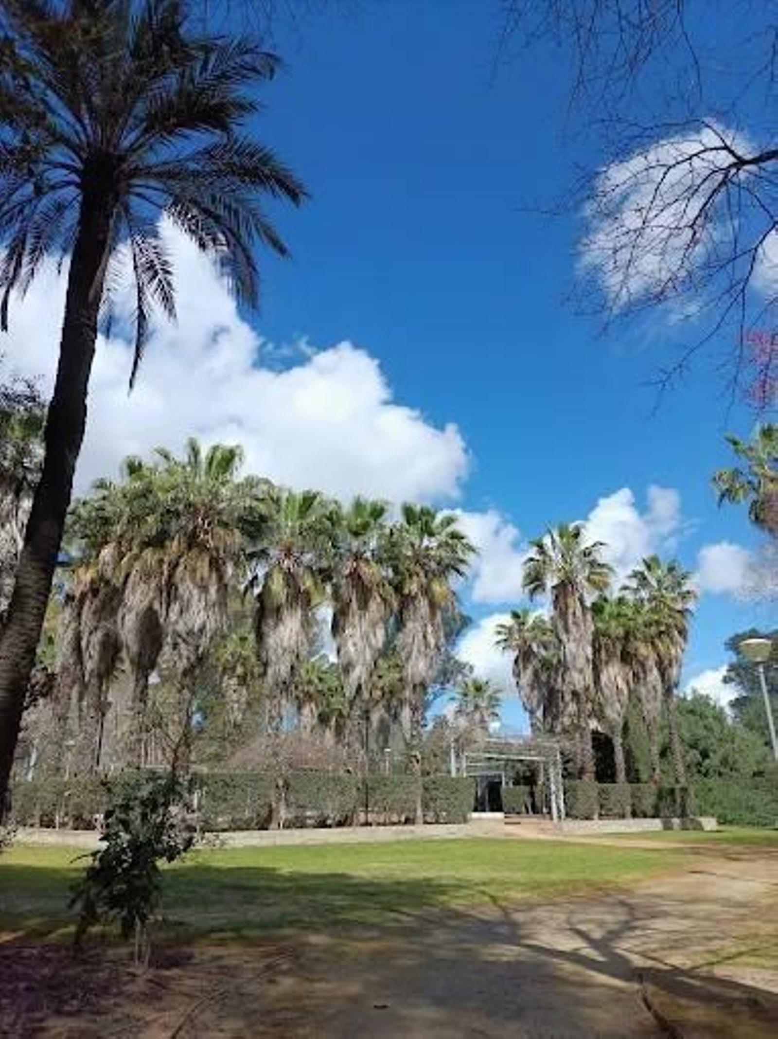 Jardín Escénico.Dirección: Avenida El Atillo.