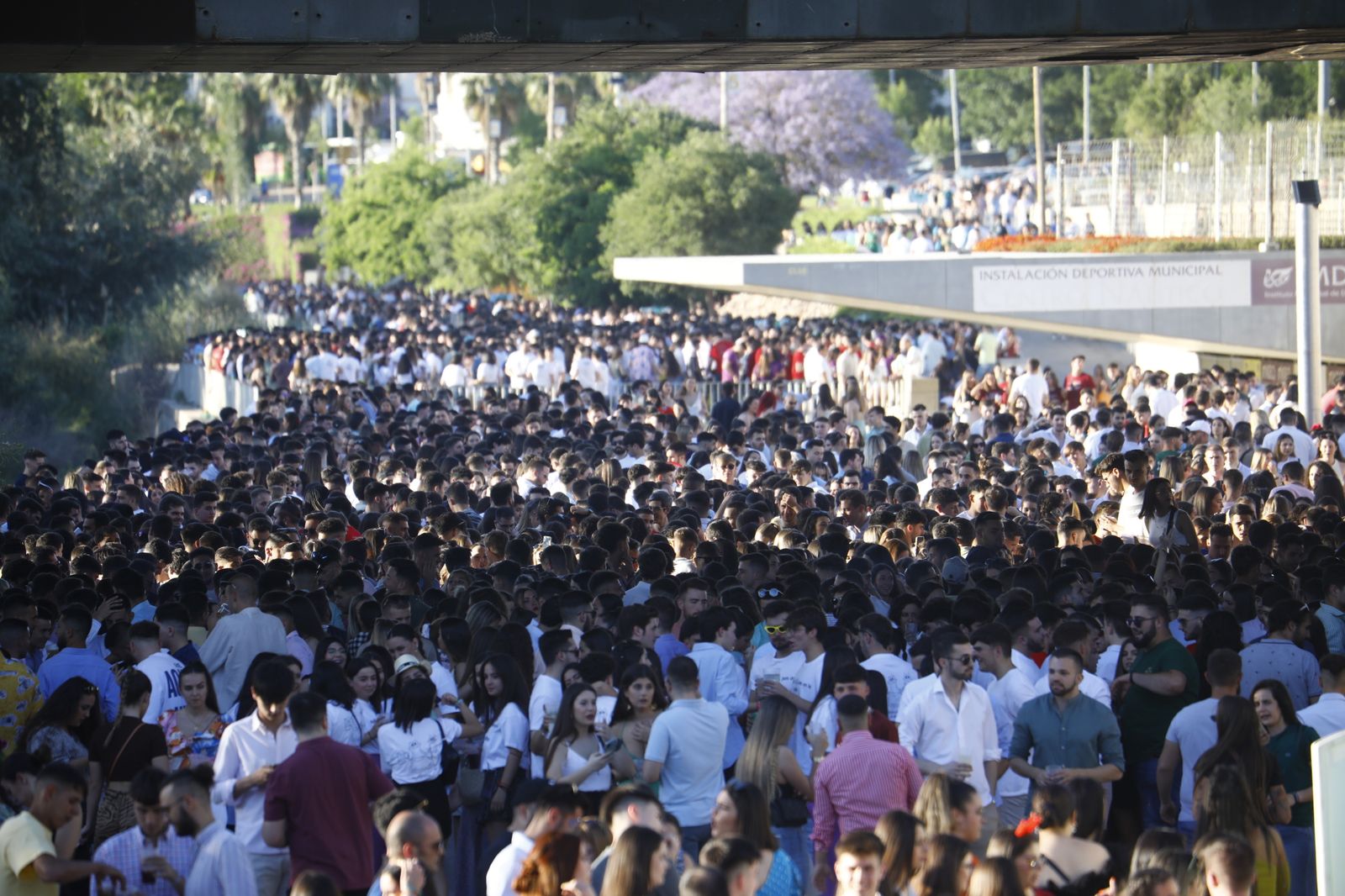 Feria de Córdoba: Las imágenes del botellón multitudinario, en imágenes
