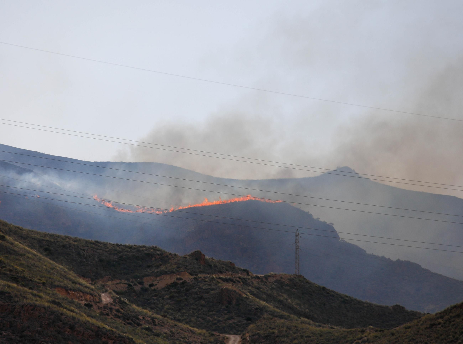 Las imágenes del incendio forestal que avanza en la sierra de Huércal