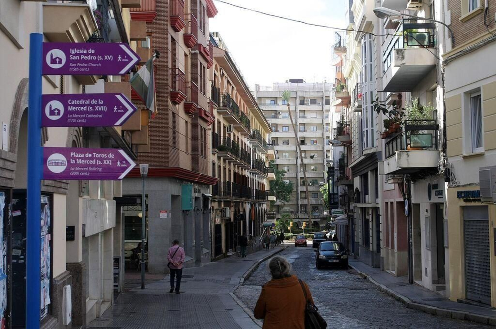 Triste adiós a la palmera más famosa de Huelva: Imágenes de sus 130 años de historia
