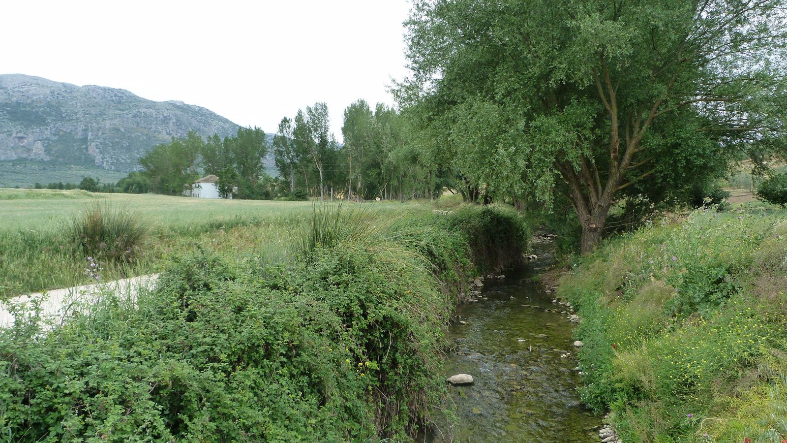Vista del primer tramo desde Villanueva del Rosario.
