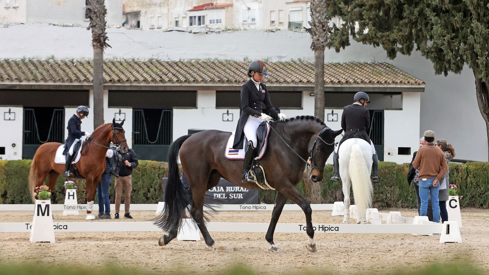 Concurso Internacional de Doma Clásica en La Real Escuela de Jerez