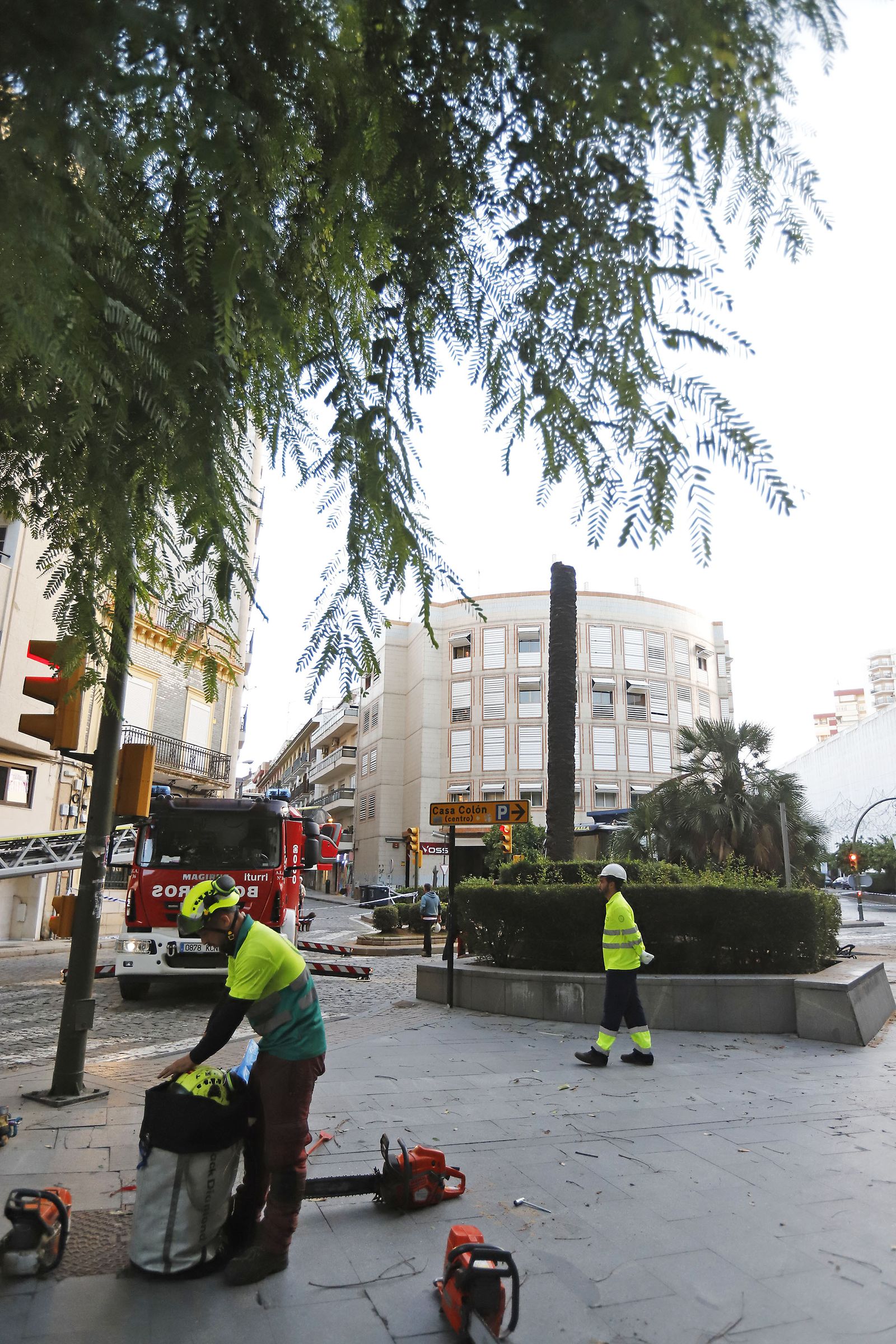Imágenes de la tala de la emblemática Palmera de Huelva
