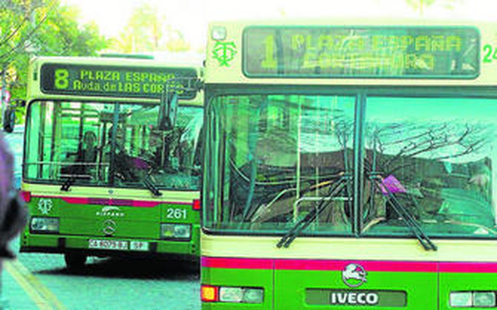 Autobuses urbanos de Cádiz.