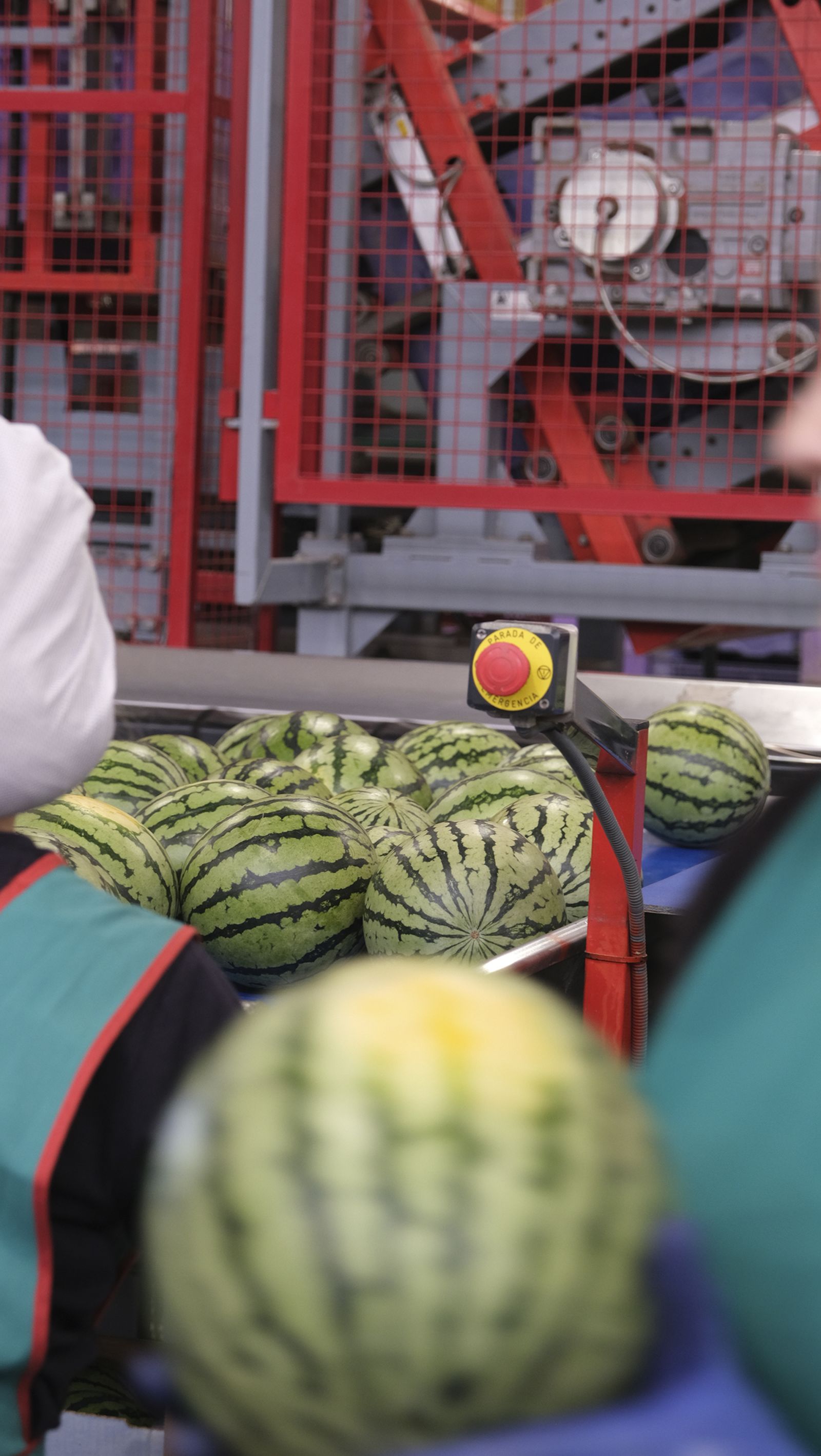 La IA llega a CASI, en imágenes