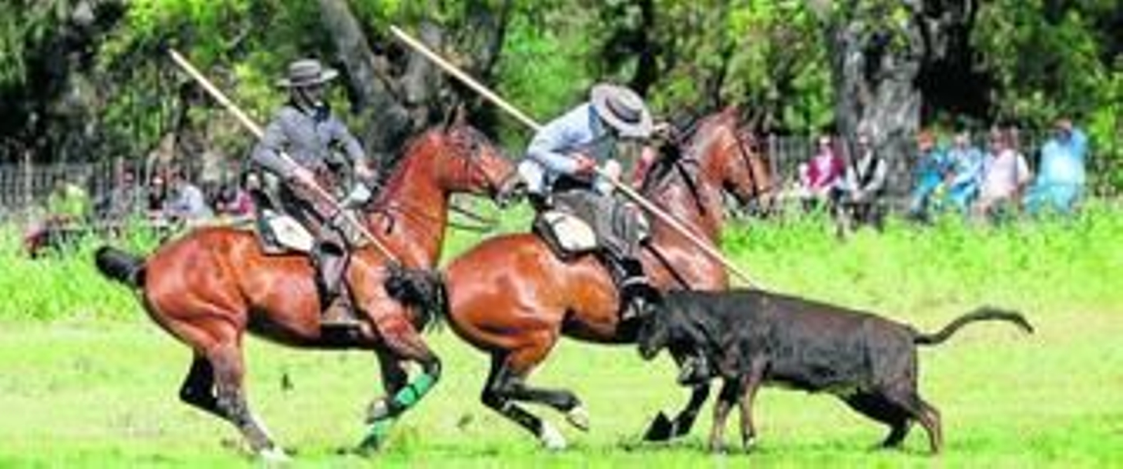 Un momento del certamen celebrado ayer en el Cortijo de Vicos.