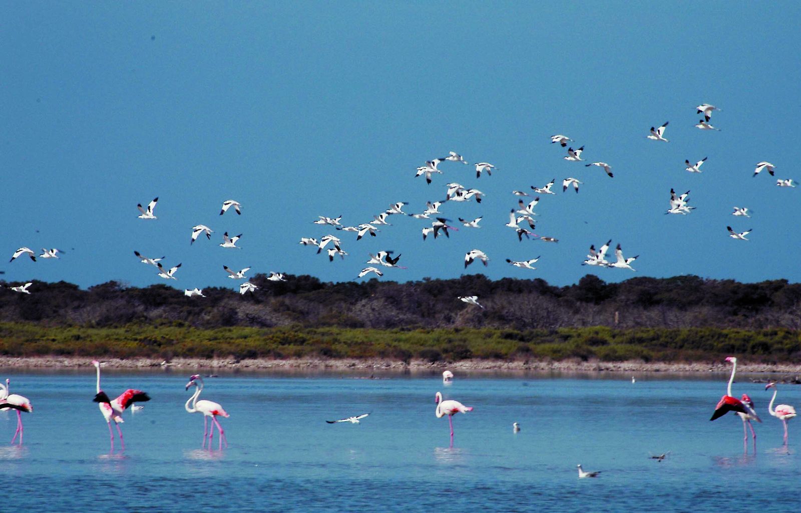 Las Salinas de Cabo de Gata
