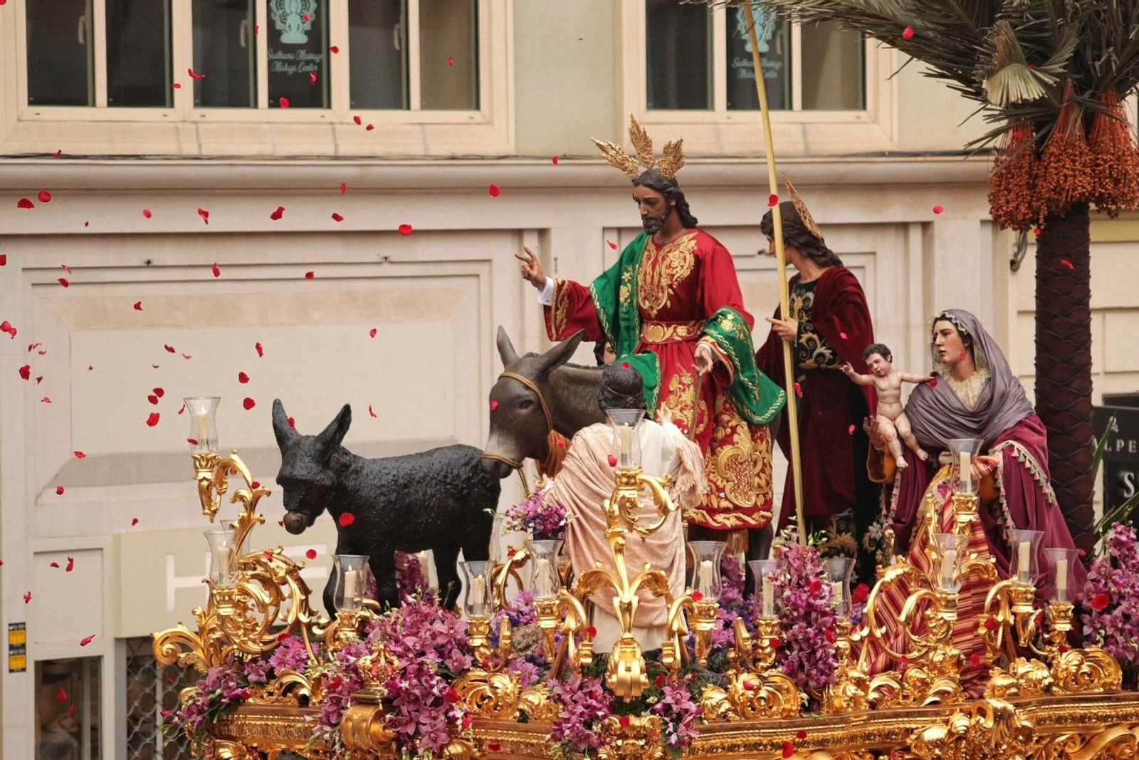Las fotos de Pollinica este Domingo de Ramos en Málaga