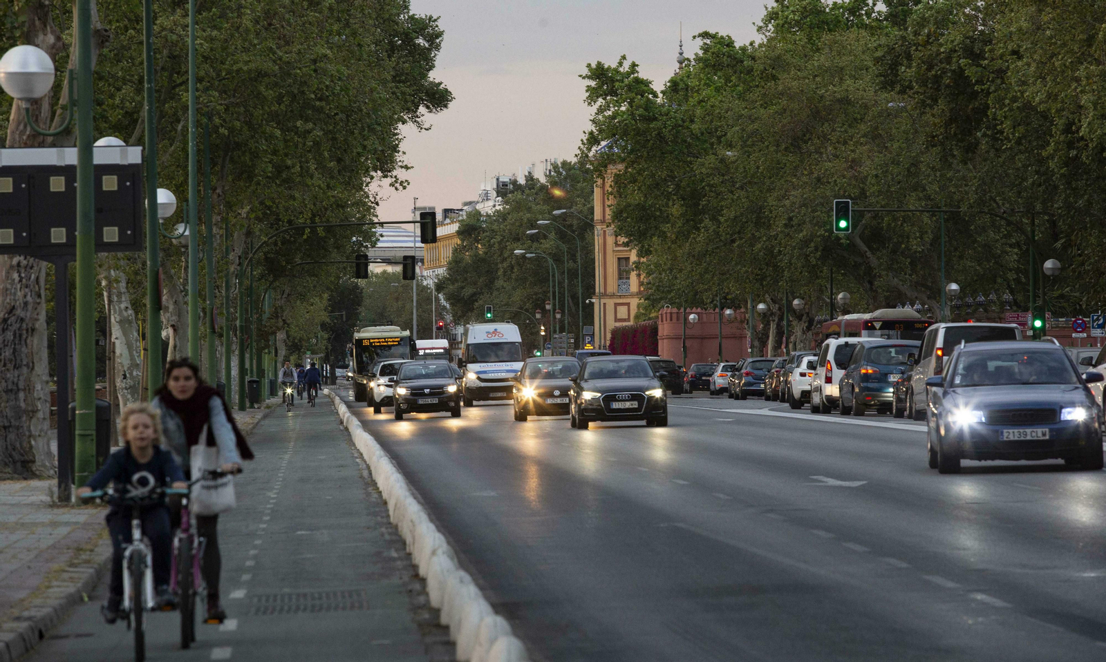El papel del arbolado en Sevilla, clave para desafiar el cambio climático