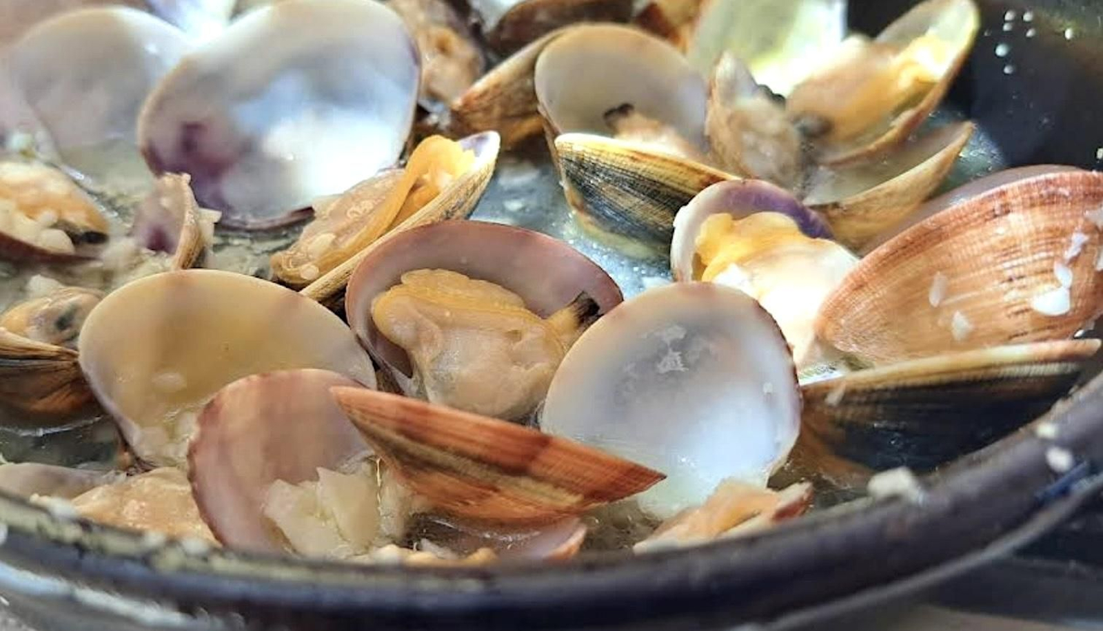 Almejas en Cherengueti