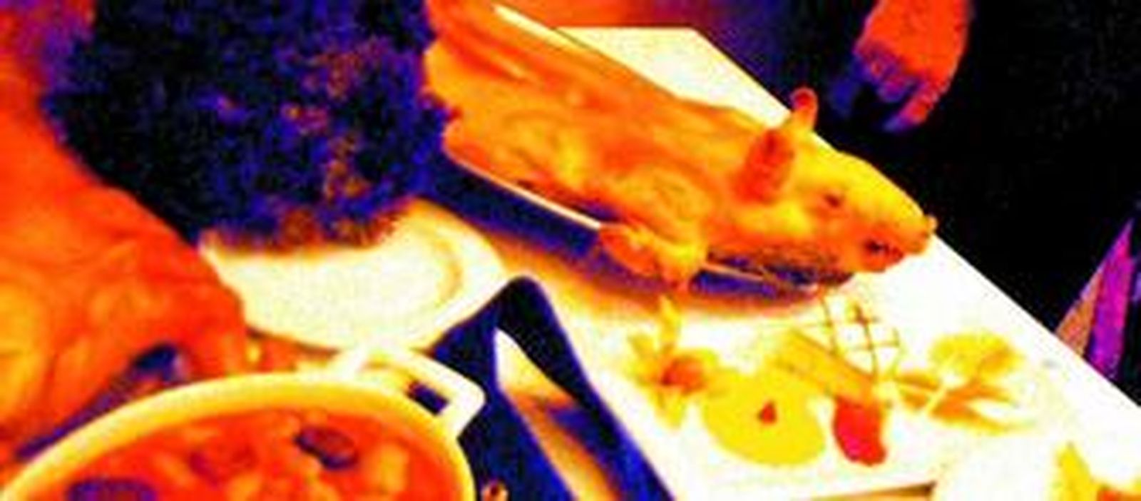 El sabor natural gana terrero a la comida rápida.