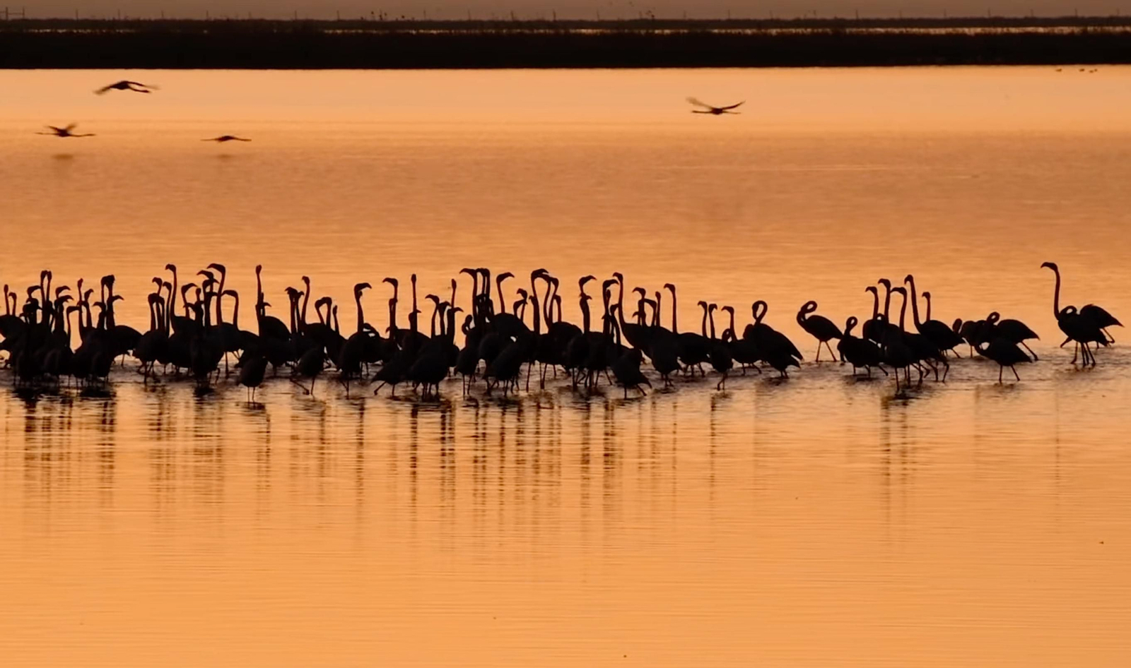 La pequeña África de Huelva