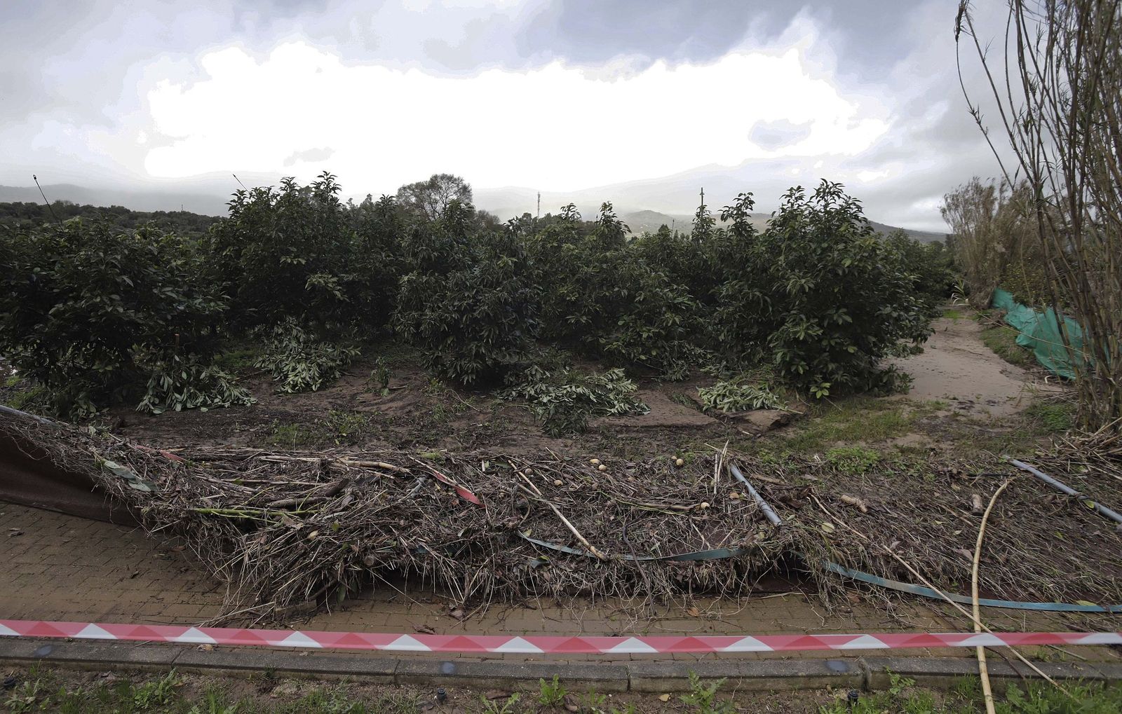 Fotos de los desperfectos provocados por las borrascas en Jimena de la Frontera