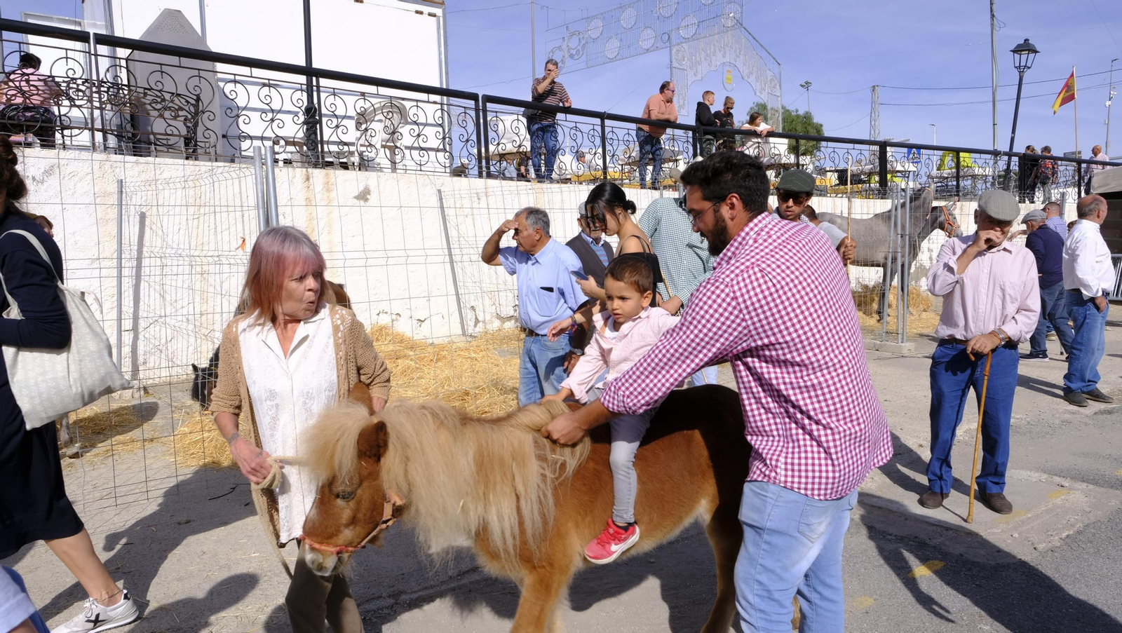 Las fotos de la Feria del Ganado y del Pájaro Perdiz en Albox