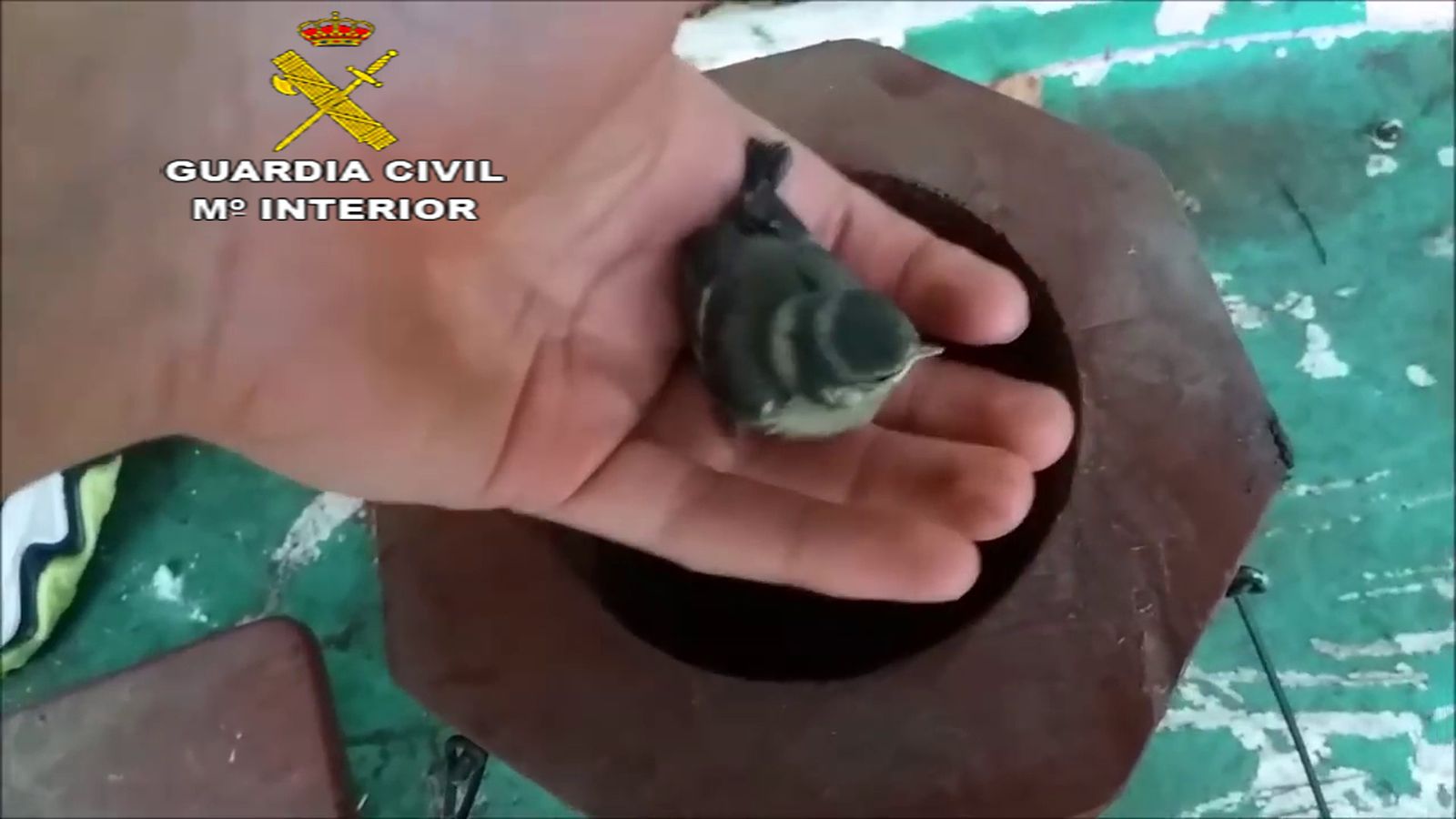 Captura de otro vídeo del 'youtuber' investigado.