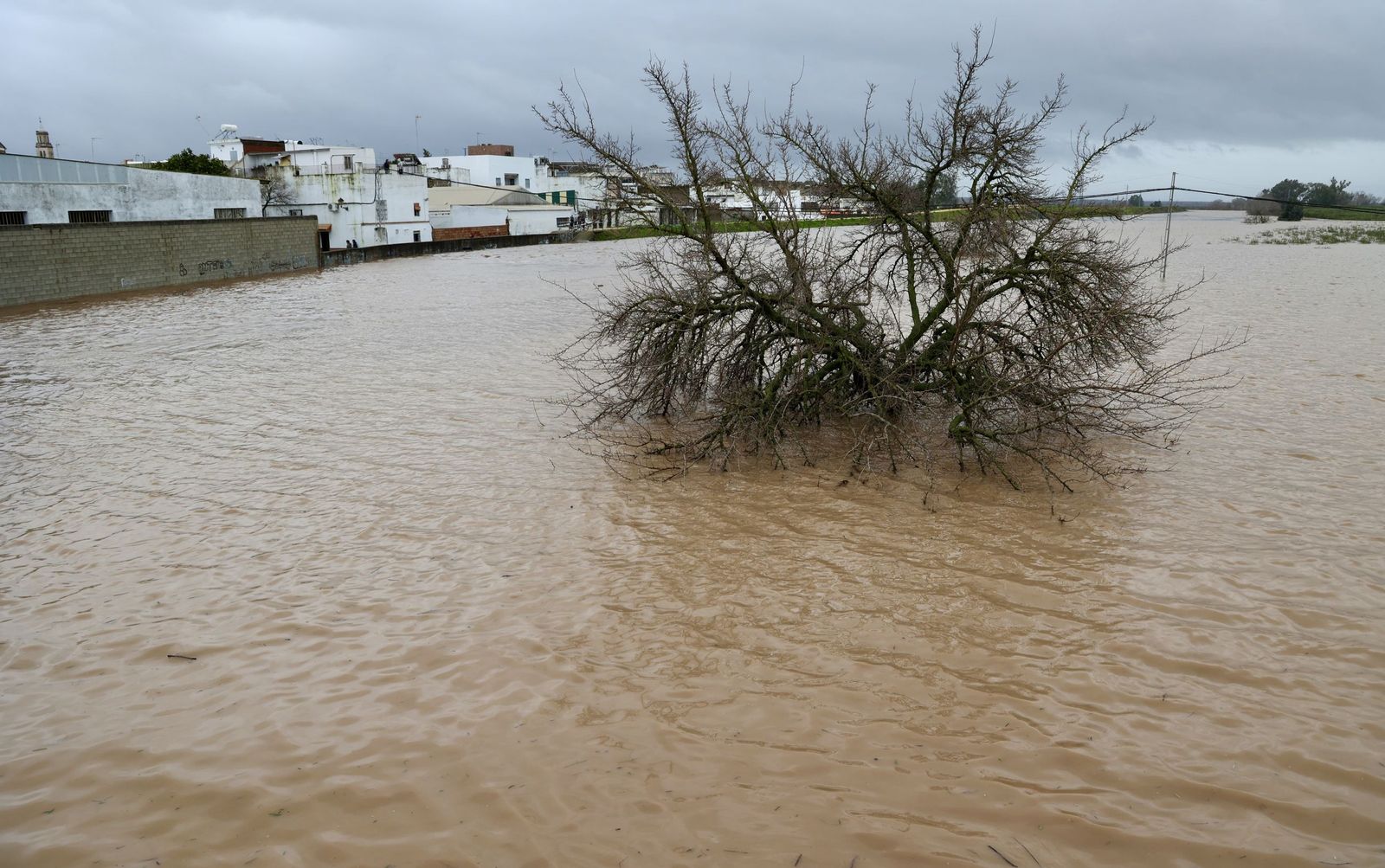 Lora del Río, ante la crecida del Guadalquivir: así lo contiene el muro de defensa