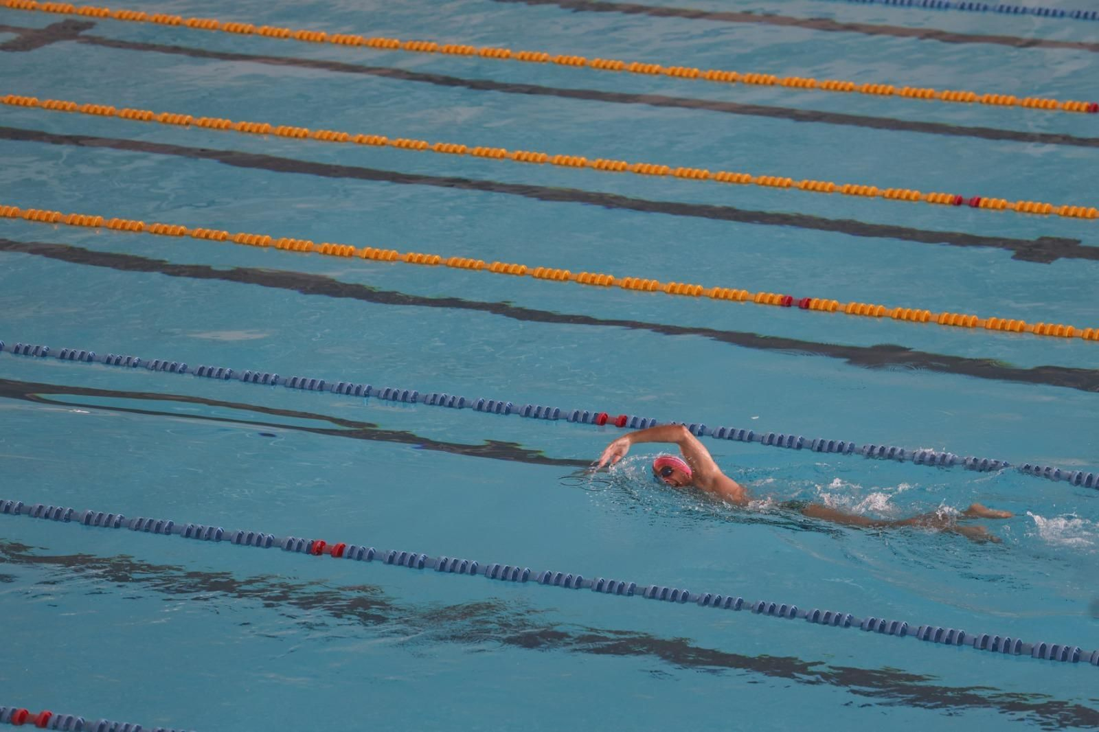 La reapertura de la piscina de 50 metros de Inacua, en imágenes