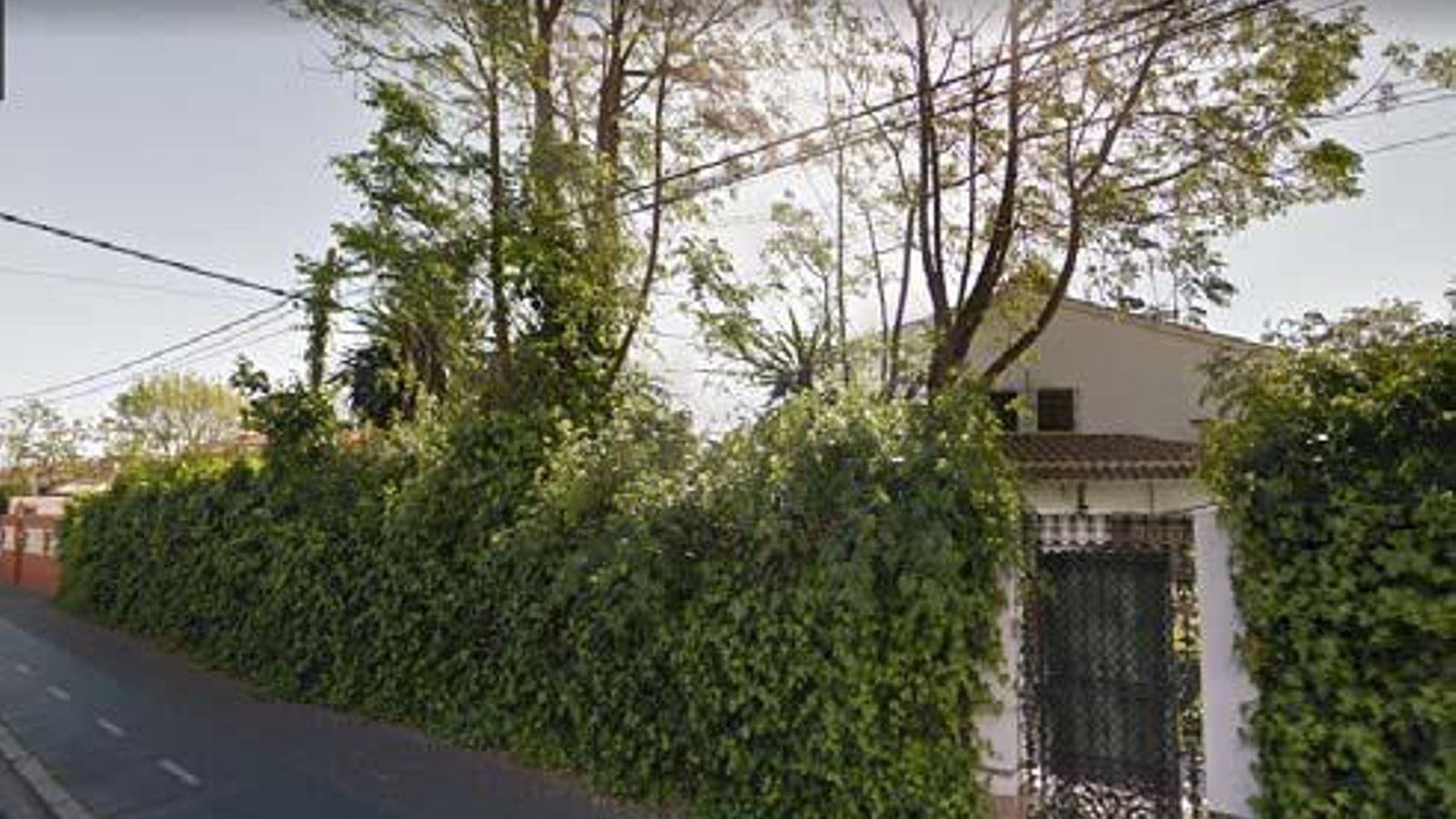 La vegetación que había en la calle Carabela Santa María 30.