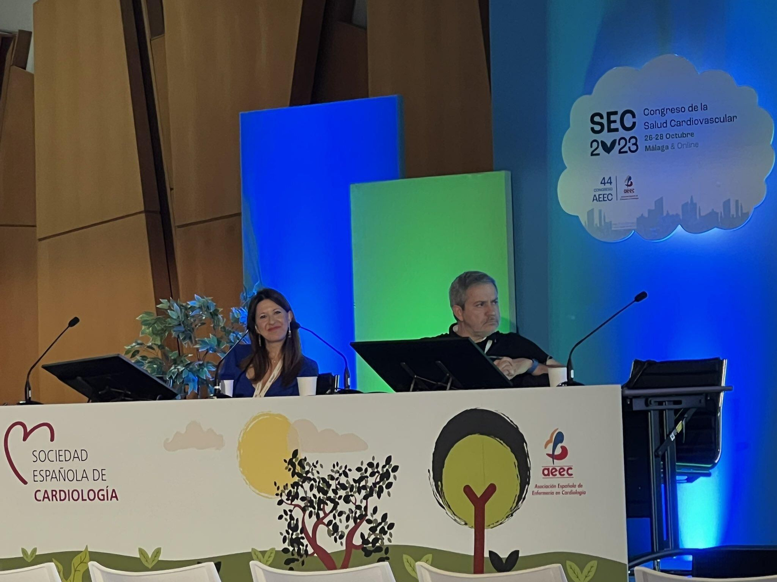 Una de las ponencias del congreso de la Salud Cardiovascular (SEC) que organiza la Sociedad Española de Cardiología en Málaga Una de las ponencias del congreso de la Salud Cardiovascular (SEC) que organiza la Sociedad Española de Cardiología en Málaga