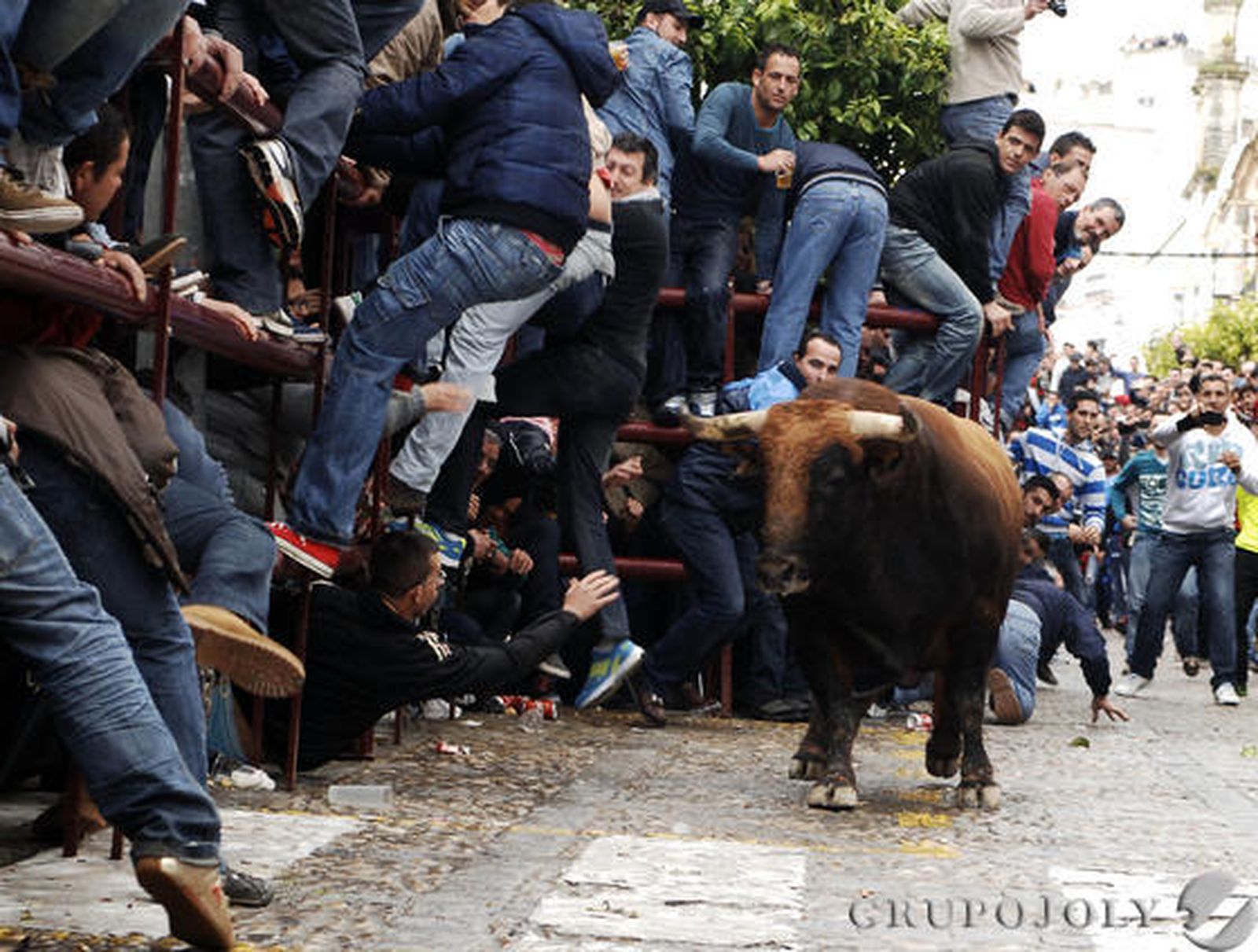 Arcos

Foto: Ramón Aguilar