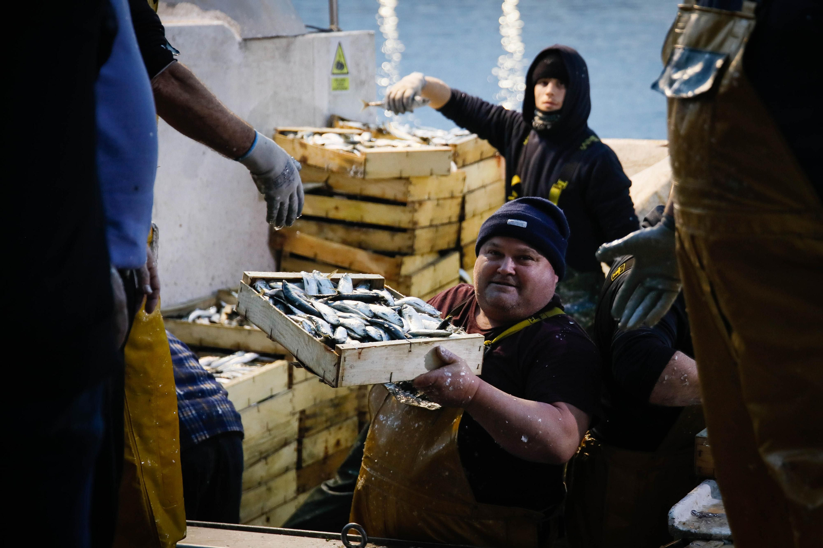 Te contamos en imágenes como ha sido la descarga de las traiñas en la lonja de Almería
