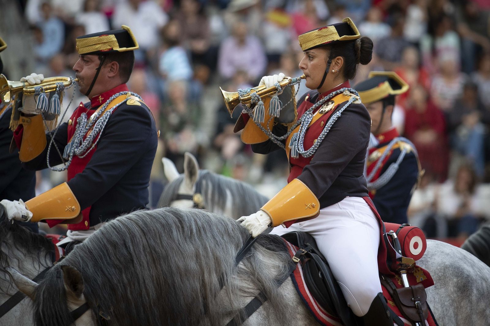 La exhibición del Ejército en la Plaza de Toros de Granada, en imágenes