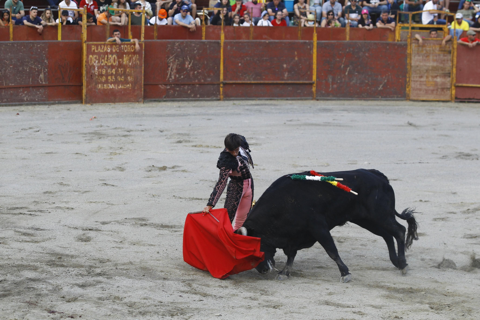 Imágenes de la corrida de toros en las Fiestas de Abrucena.