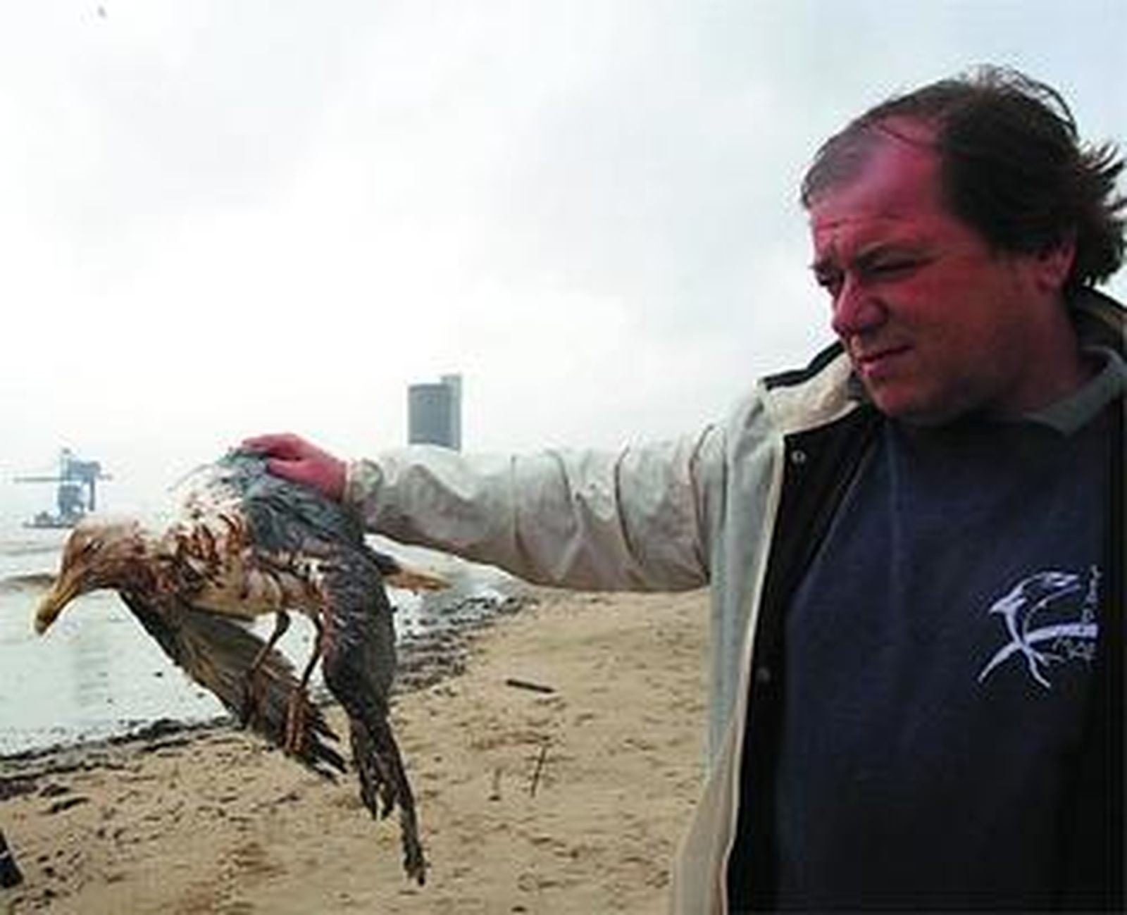 Muñoz muestra un ave manchado de fuel, ayer en Guadarranque.