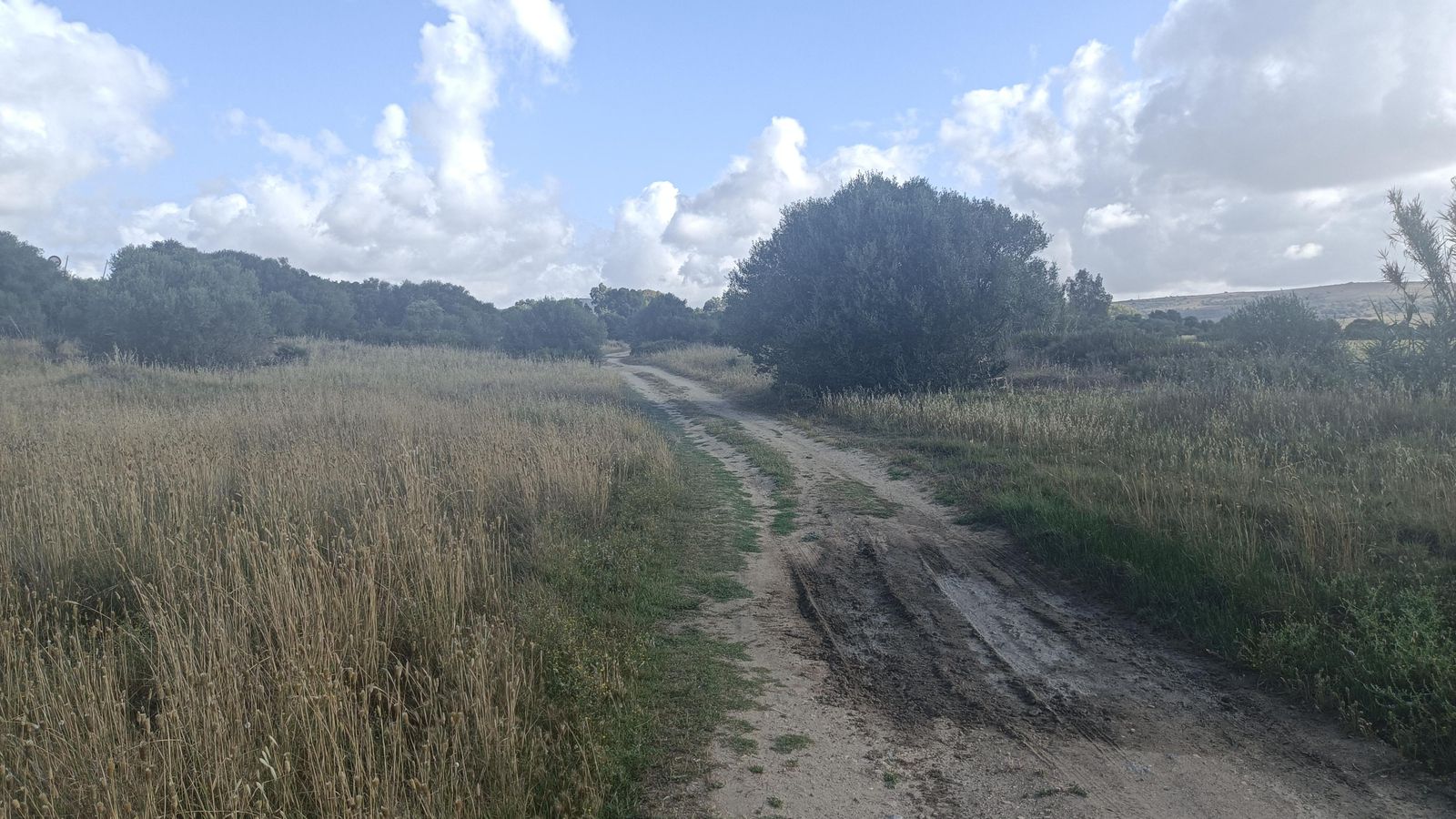 Al salir de Los Badalejos y cruzar la carretera, caminaremos por un tramo muy llano.